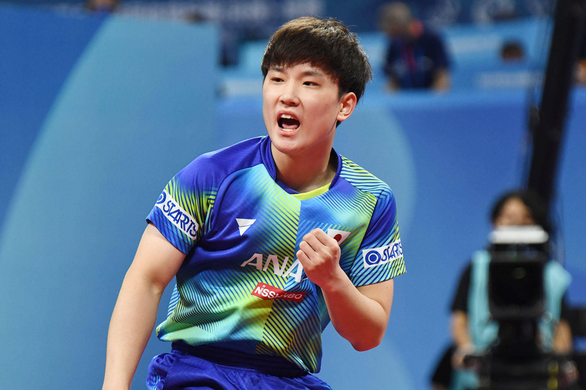 引发了球迷 引发了球迷