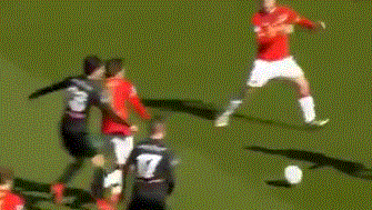 同样重要 同样重要