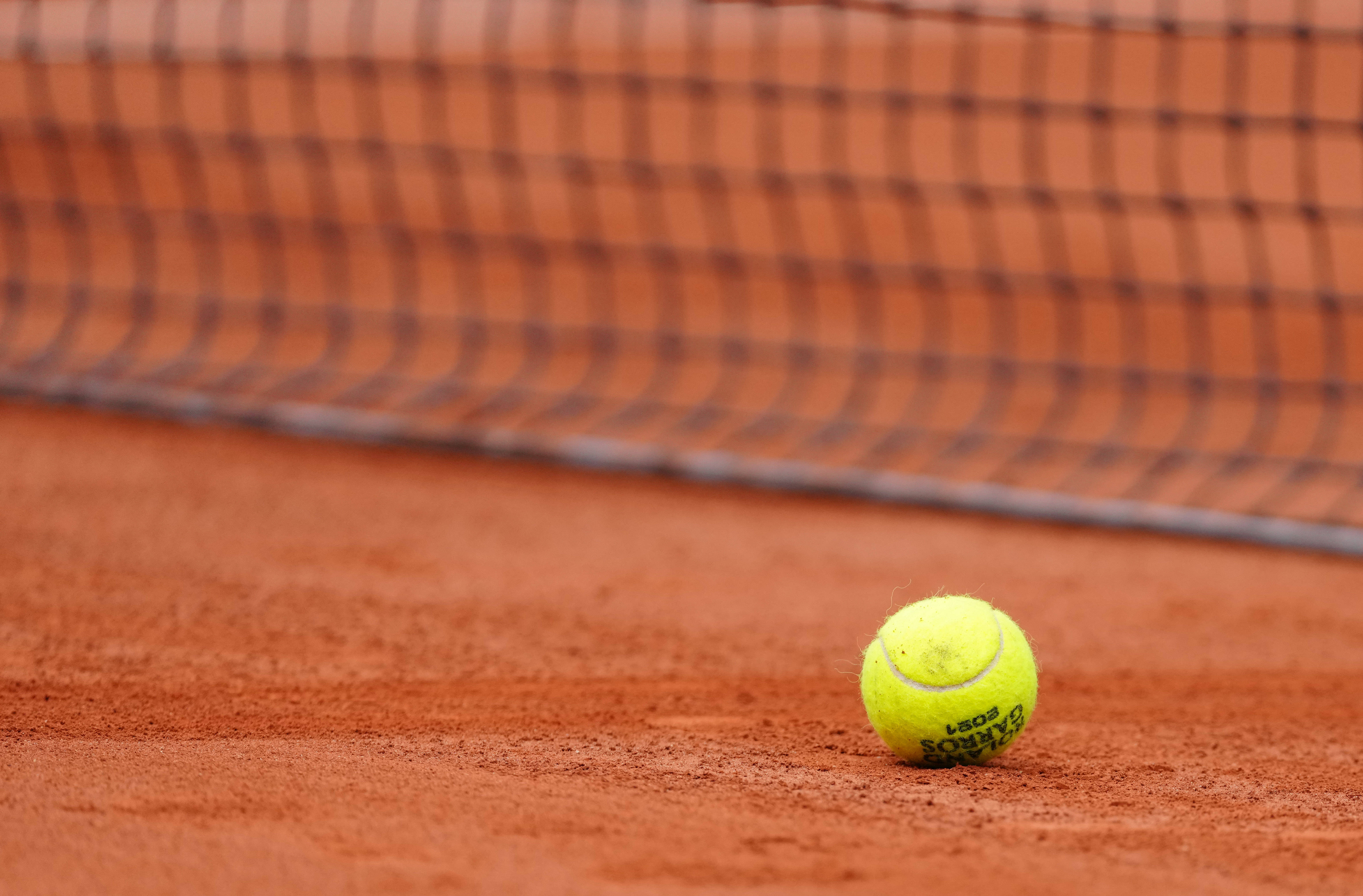 0森林狼杰 0森林狼杰