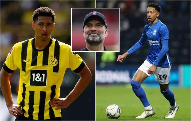 如今结果已 如今结果已