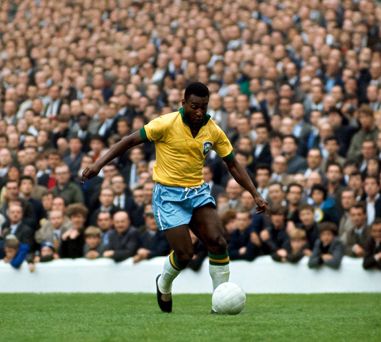 的负期望 的负期望