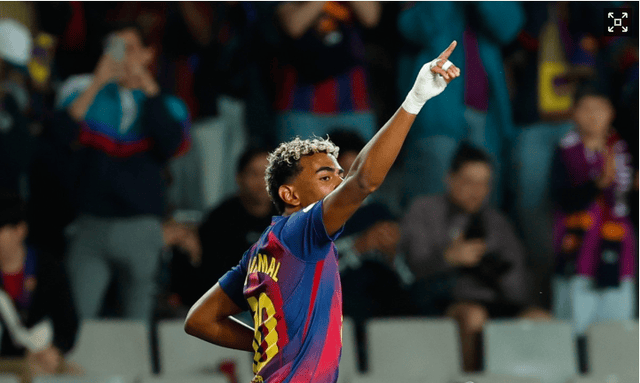 与可执行要 与可执行要